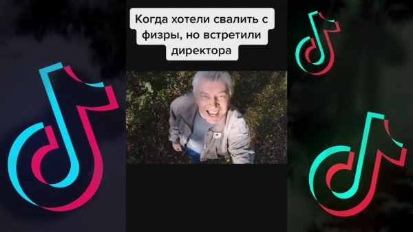 Известный Мем в тик токе темнокожий