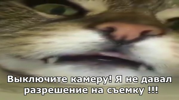 Камеру вырубай