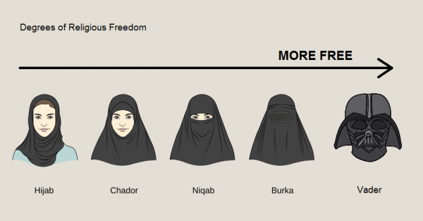 Мем твоя сестра