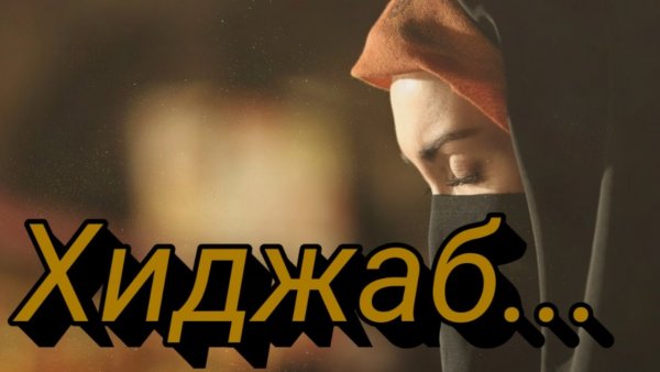 Приколы про исламских женщин