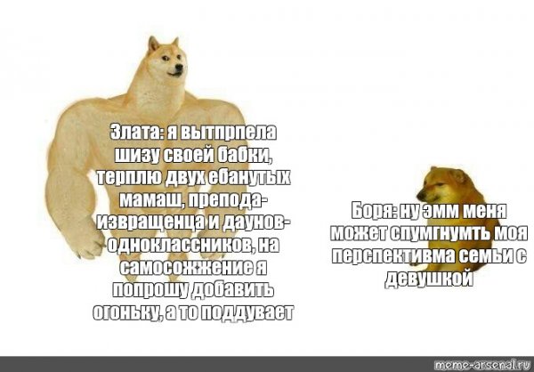 Мем доге и Чимс шаблон