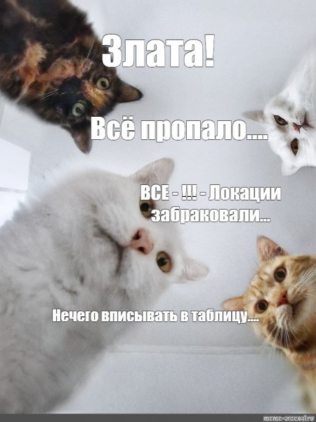 Мемы про Злату