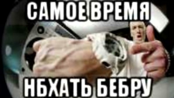 Бебра нюхать