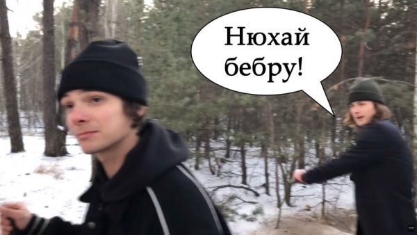 Бебра Мем