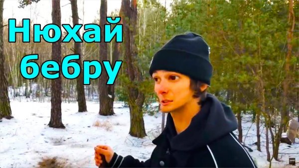 Нюхай Бебру Мем