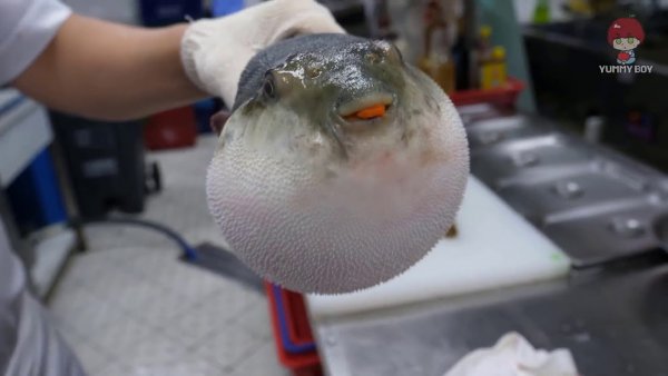 Рыба фугу с морковью