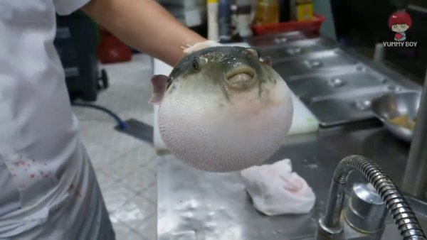 Рыба фуга Брух