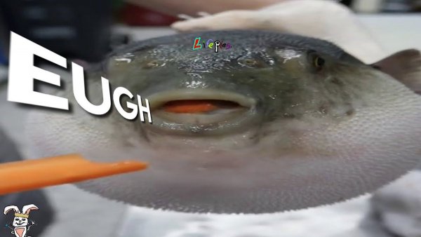 Рыба фугу с морковкой