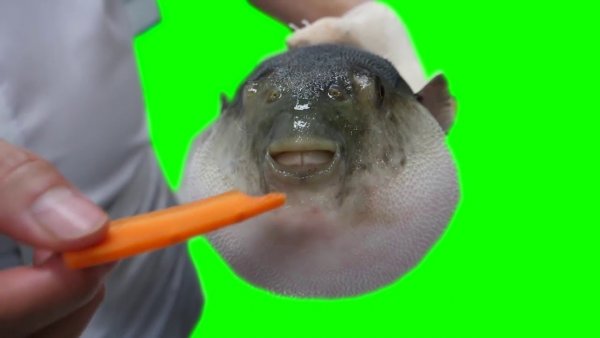 Рыба фугу с морковкой