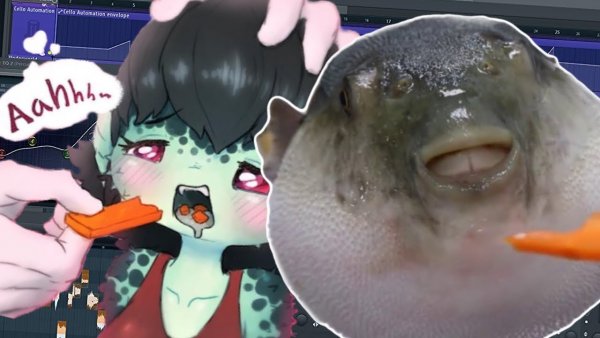 Fugu Fish eats Carrot