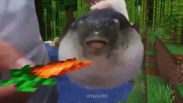 Рыба фугу майнкрафт