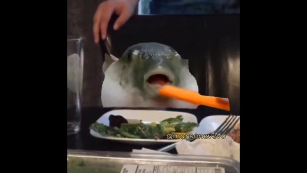 Рыба фугу с морковью