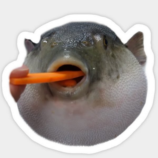 Фуга ест морковку