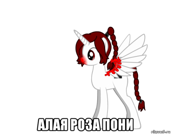Мемы про розу