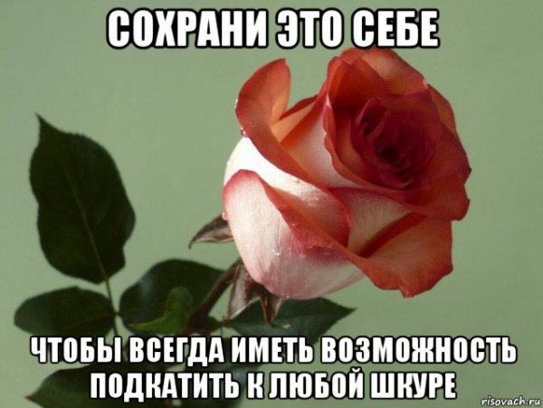Создать Мем с розами