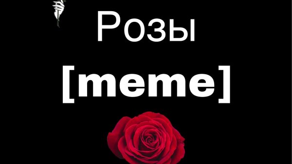 Розы для мемов