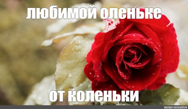 Розы для мема
