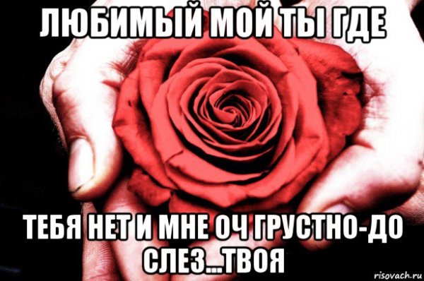 Любимый мой