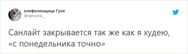 Шутки про Санлайт