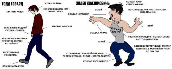 Тодд Говард купи скайрим