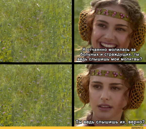 Энакин и Падме на пикнике