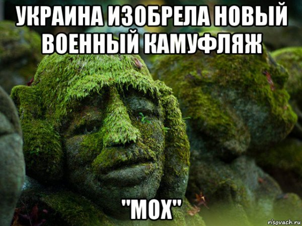 Плесень Мем