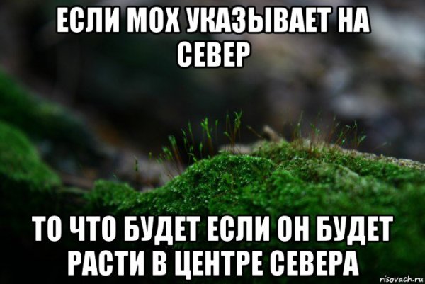 Мемы про мох