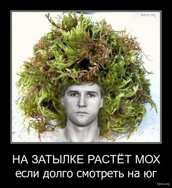 Мох прикол