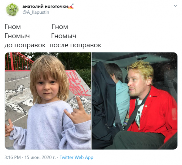 Гном Гномыч Конституция