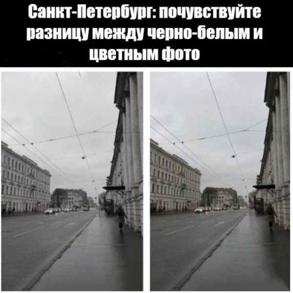 Кот и часы Мем