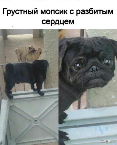 Мем ноябрь 2020