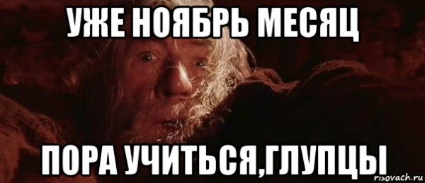 Самые смешные мемы 2020