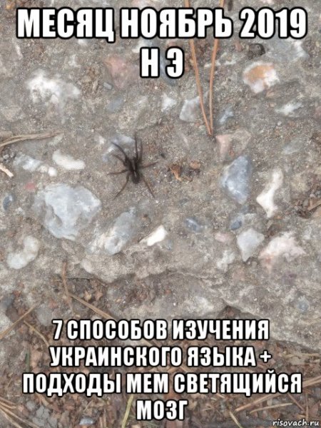 Мемы про 2020г