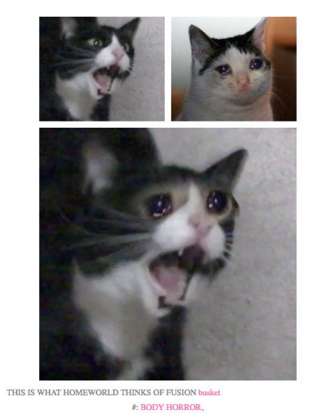 Орущий кот Мем