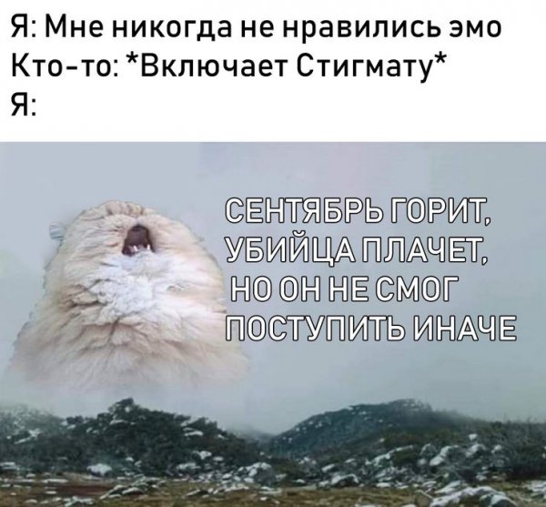 Кричащий кот в шляпе