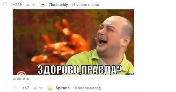 Здорово правда сестры Зайцевы