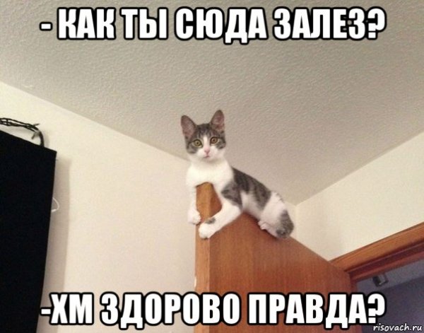Вообще похуй люди ебаные