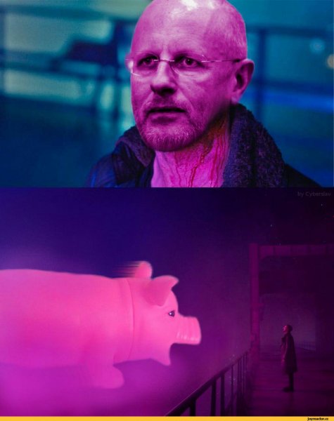 Гослинг Бегущий по лезвию 2049