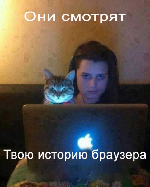 История браузера прикол