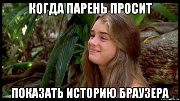История браузера прикол