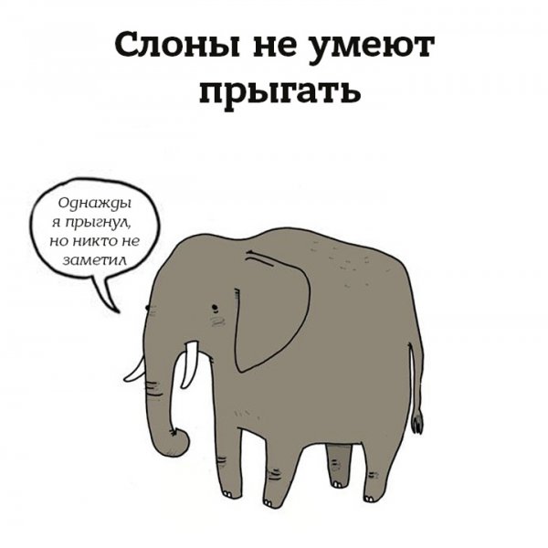 Мемы про слониху (48 фото)