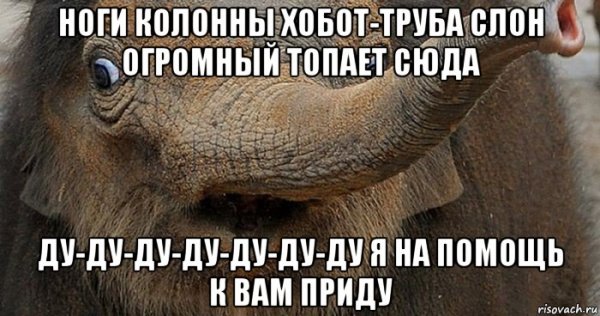 Слон мемы