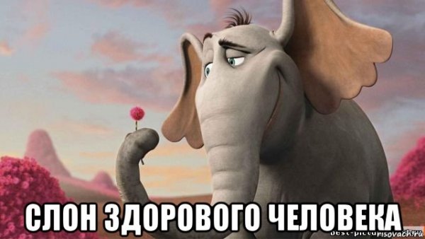 Слон мемы