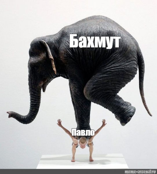 Слоны Мем