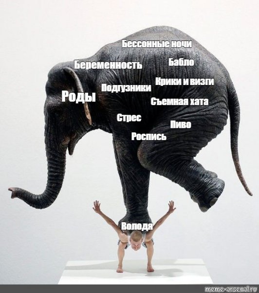 Слоны мемы