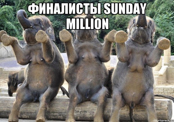 Слоненок Мем