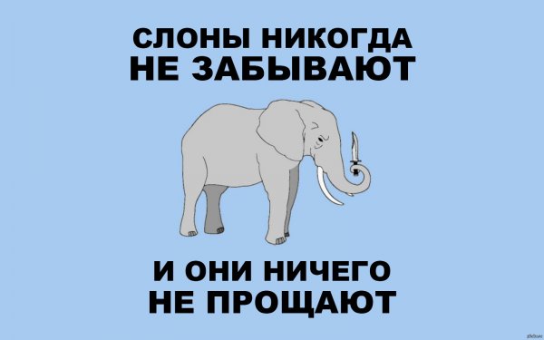 Слоны мемы