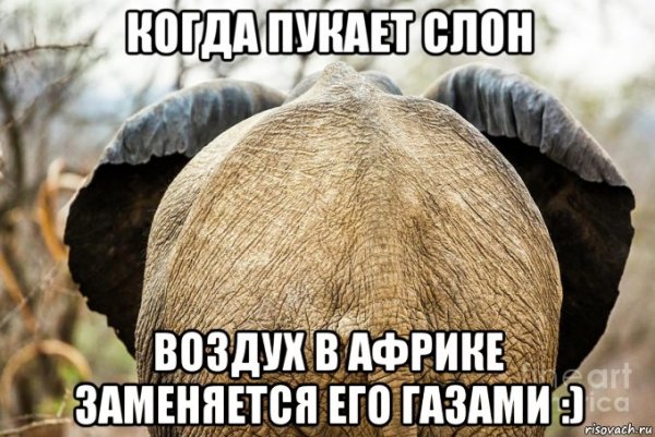 Слоник мемы