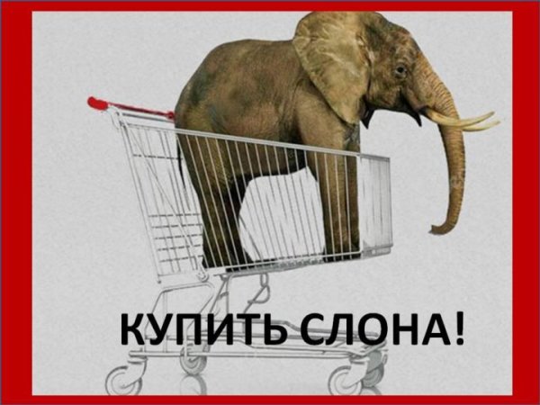 Слон Мем