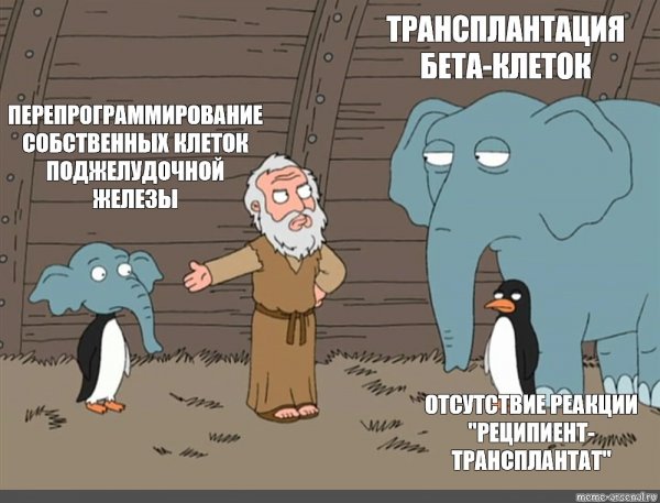 Гриффины Ной Мем